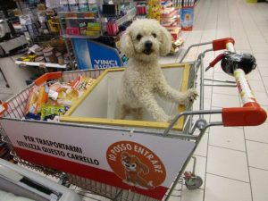 accesso cani al supermercato