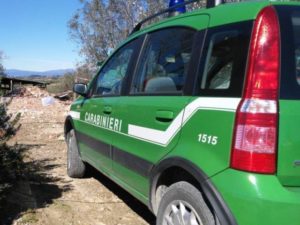 Mondofido Carabinieri forestali