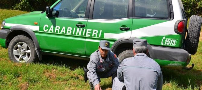 Mondofido Carabinieri forestali A e1505479384754