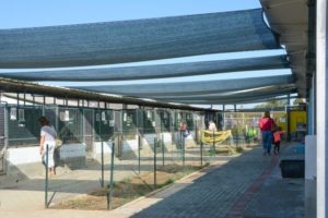 Mondofido Immagini del canile