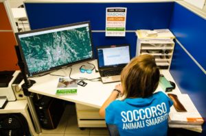 Mondofido Soccorso Animali smarriti