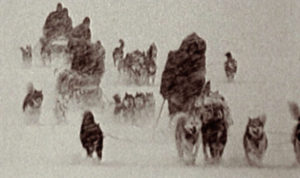 Mondofido Spedizione Amundsen con i cani husky