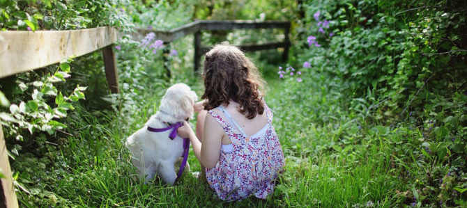 Il cane, non solo pet-terapy: relazione e attività assistite.