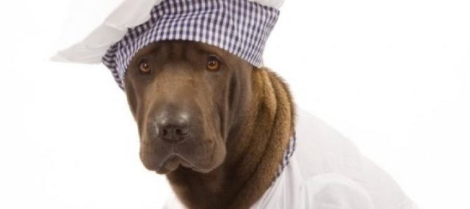 Mondofido Cane chef e1509371861164