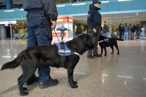 Mondofido Cane poliziotto