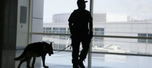 Mondofido Cani in aeroporto e1509399454898
