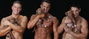 Mondofido Muscoli e cuccioli dei pompieri australiani e1508795605152