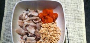 orzo con testa di rana pescatrice 2 e1507753663256
