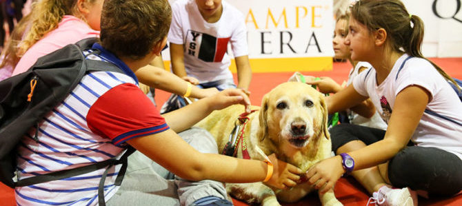 QuattroZampeinFiera torna a Padova per la “due giorni pet friendly” più famosa d’Italia