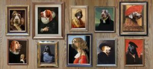 Mondofido Cani al museo