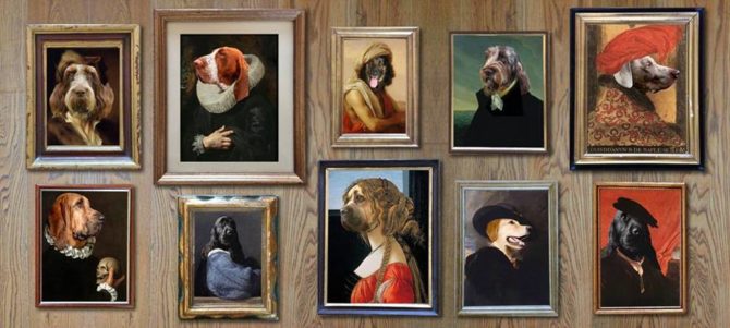 Mondofido Cani al museo e1510417117974