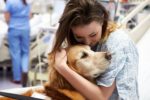 Il Lombardia i cani potranno entrare in ospedale