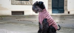 Mondofido Emma Firenze Maglieria e1510763074680