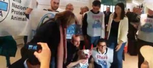 Mondofido Iceberg torna in Italia e1511212866951