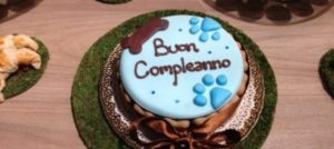 Mondofido Torta della pasticceria Doggye Bag e1511471047763