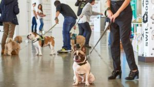 Mondofido ATuttacoda ospiti in fiera