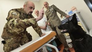 Mondofido Cani annusano i tumori alla prostata