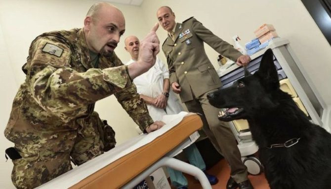 Mondofido Cani annusano i tumori alla prostata e1513434223189