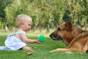 Mondofido Cani e bambini