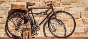 Mondofido Cicloturismo con il cane e1512395394789