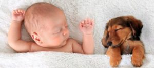 Mondofido Cuccioli e bambini e1513782665334