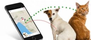 Mondofido GPS per Cani e1512493129276