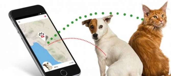 Localizzatori per cani, un modo per non perdere Fido