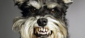 maxresdefault e1513114168872