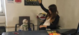 Mondofido Benjii il barboncino e1515851735657