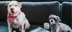 Mondofido Caffè a New York e1515595074788