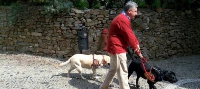Mondofido Cane guida con il padrone e1515853349276