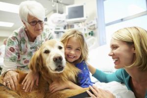 Mondofido Cani in ospedale