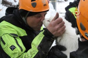 Mondofido Cuccioli Hotel Rigopiano il ritrovamento