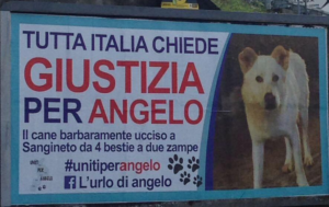 Mondofido Lurlo di Angelo