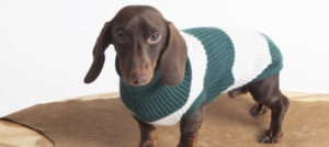 Mondofido Temellini T shirt in Cachemire e1516984355298