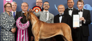 Mondofido World dog Show 1° classificato e1516806530562