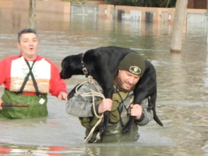 Montofido Alluvione salvataggio cane