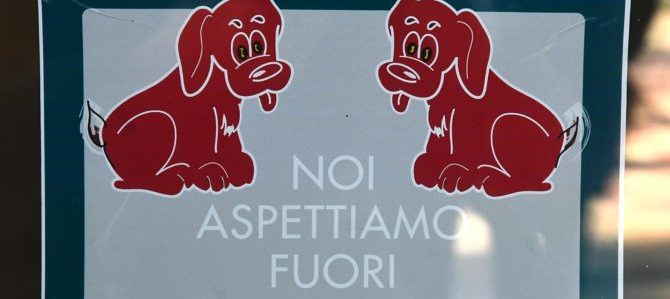 Cani in bar e ristoranti? Replica del Fipe: non decide il sindaco