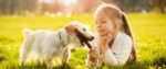 Un cane per amico, a scuola di civiltà