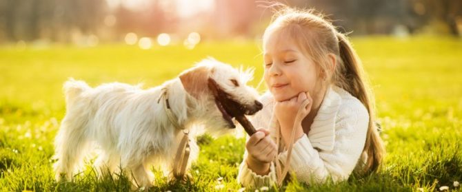 Mondofido Il mio amico cane e1518366893529