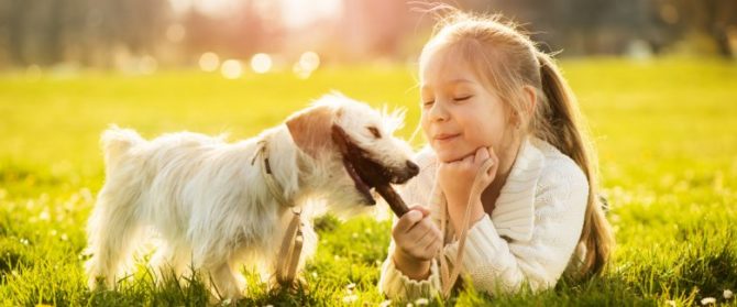 Un cane per amico, a scuola di civiltà