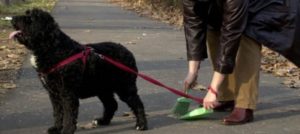 Mondofido Raccolta escrementi cani e1518706902717