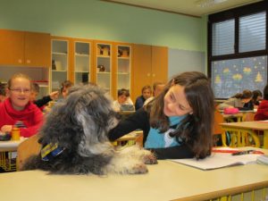 Mondofido Un cane per amico