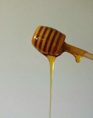 miele per i cani 3 2