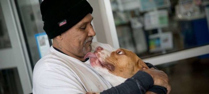 Costretto a riportare il Pit Bull al canile, torna a riprenderlo