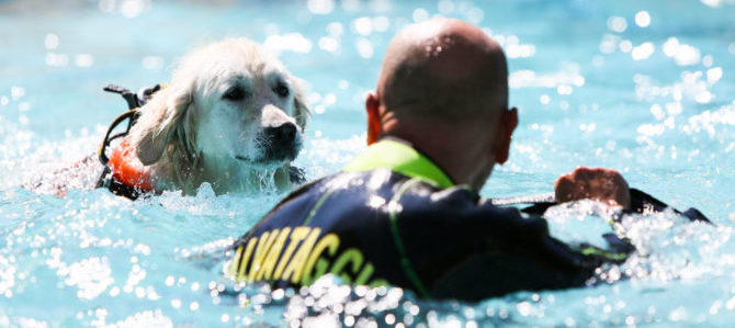 Al via la tappa romana di Quattrozampeinfiera, la “due giorni pet friendly” più famosa d’Italia