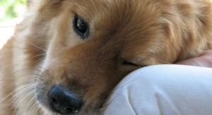 c postedin image 38901 e1522185080346