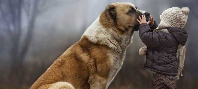 IL CANE MIGLIORA LA VITA E AIUTA I BAMBINI CON PROBLEMI…