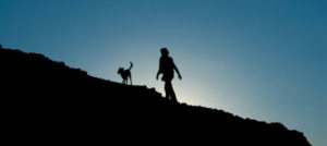 ds cane in montagna e1520600985372