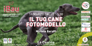 mondofido ibau uptown